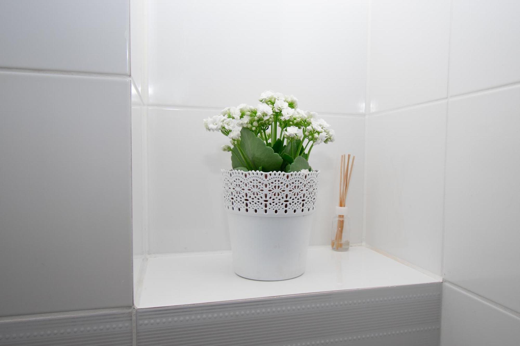 Apartament przy Zdrojowej Ciechocinek Zewnętrze zdjęcie